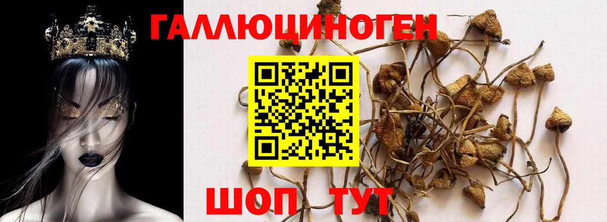 Псилоцибиновые грибы мухоморы Тутаев